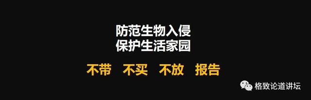 80%以上的村民都被咬，围攻广东村庄的这个入侵物种究竟什么来头