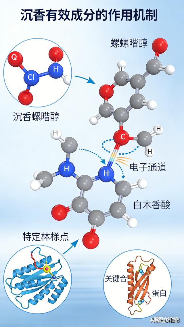 一寸沉香一寸金：从药香到“软黄金”