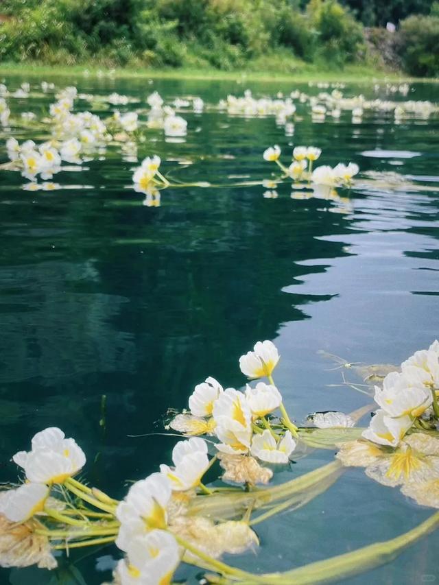8月反向旅行,国内最凉快的3个避暑旅行地,奔赴20℃的清凉炎夏!