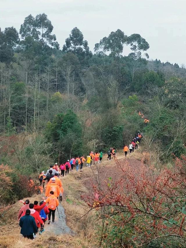 在眉山天府新区，“治愈”这个冬天！
