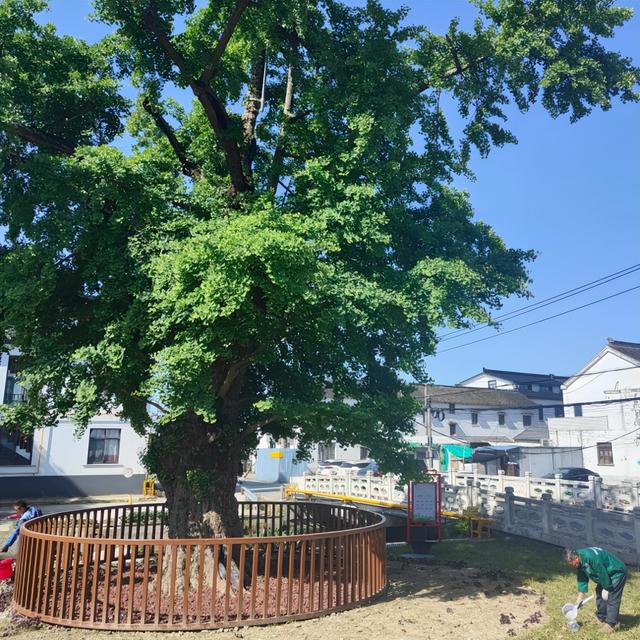 苏州十大“寿星”出炉！