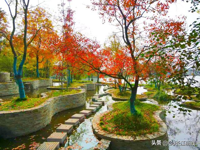 河南淮滨：金秋走读淮河展秀美