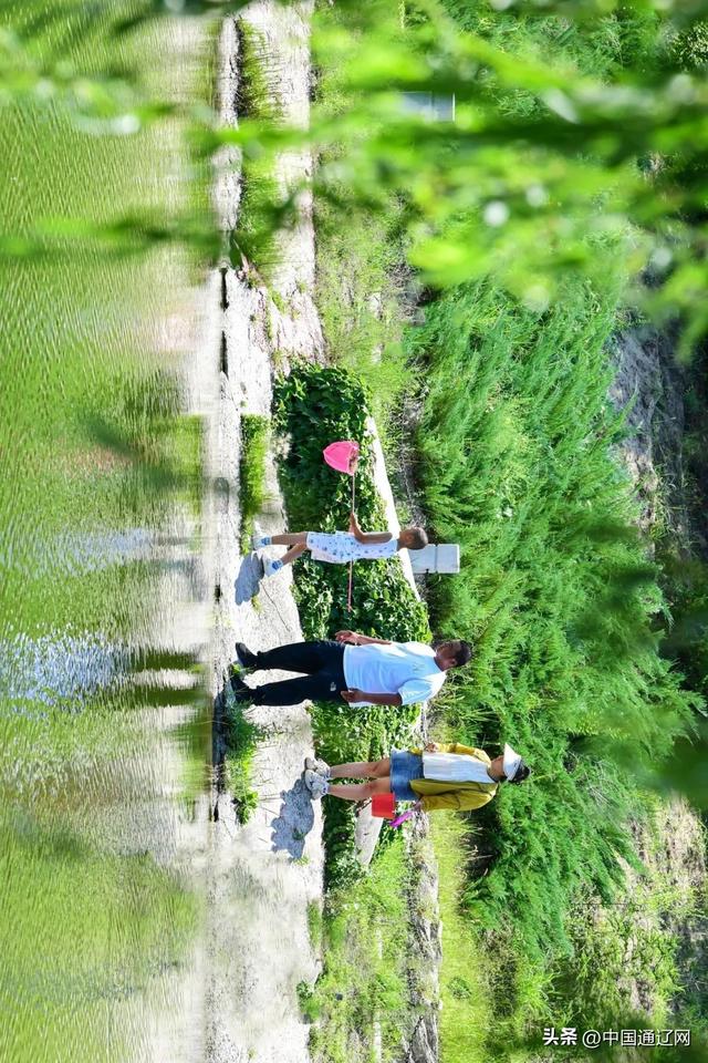 森林公园：市民休闲的“幸福角”