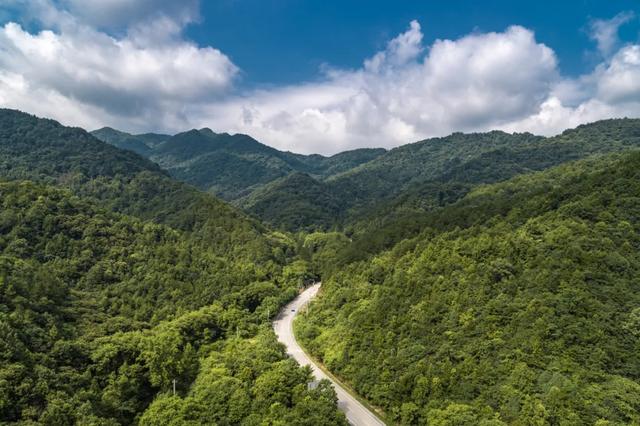 国庆畅游来黄陂 森林防火护青山