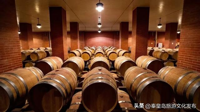 夏日特辑|体验葡萄架下的甜蜜慢生活,秦皇岛葡园采摘与红酒品鉴两日游线路!