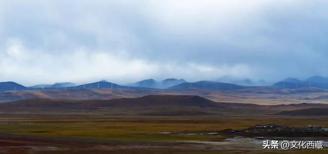 疯狂心动！哲古草原秋日限定景观，藏着西藏最野的浪漫！