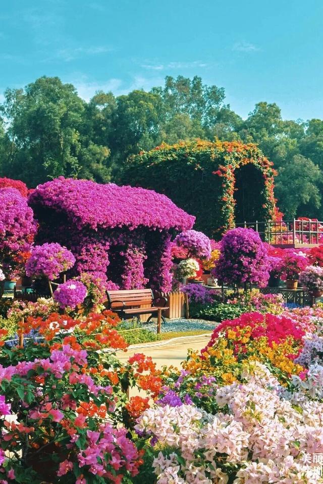 大型活动轮番炸场！“这个月也太热闹了吧”！深圳人：挨个打卡！