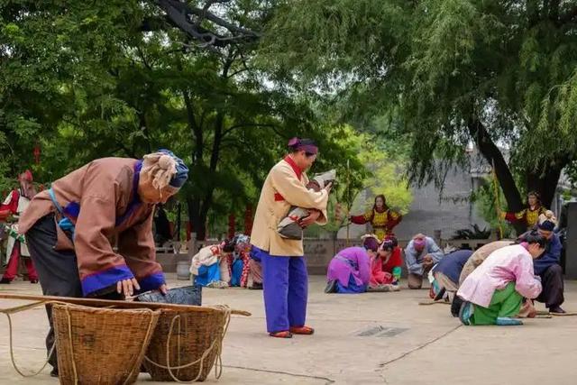 古槐屹立岁月悠、枝繁叶茂诉千秋