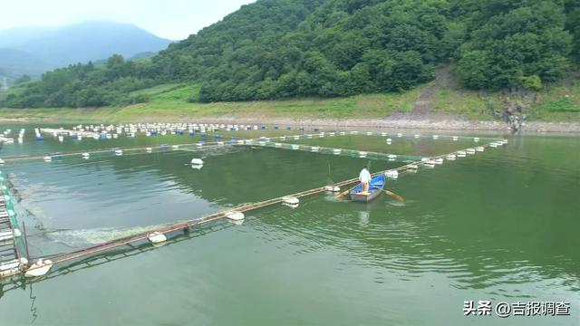 取景庆岭镇：按下快门，收了一季青山绿水
