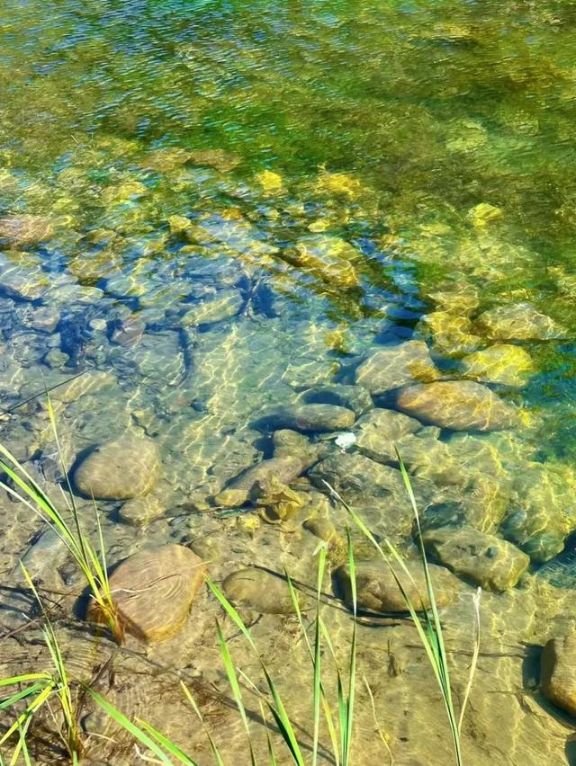 郑州出发2小时左右直达→藏在豫北的 “宝藏地”！