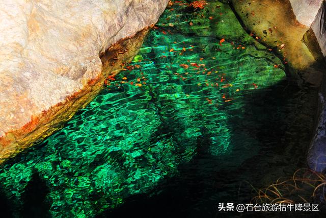 藏在皖南的“天然氧吧”，石台牯牛降等你来吸氧！