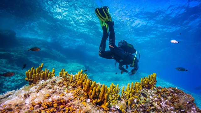 5人洞穴潜水只回来4人，经验最丰富的老潜水员，胸口插着一把刀