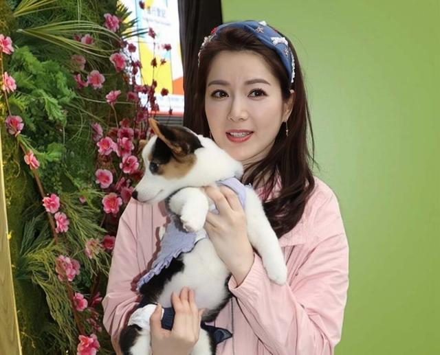 香港知名女星正式离婚，恢复单身即有追求者，宣布全面复出