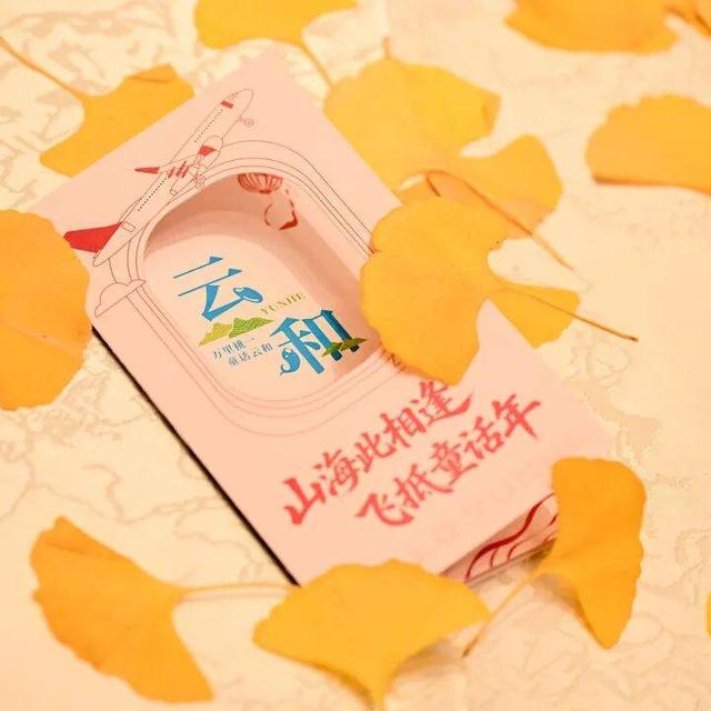 云和迎来一波打“飞的”青岛游客