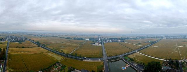 秋日的大杭州田间太“卷”了！胖乎乎的“瑞士卷”，一个一个又一个……