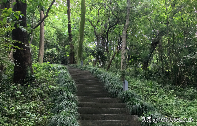 从杭州地铁出发，来一个亲子遛娃胜地吧，连名称都文艺，全免费！