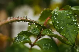 贵阳晴好天气持续 周五或有分散阵雨图片