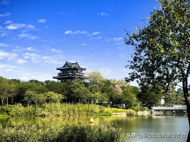 广州周末治愈地！地铁直达城央湿地，花湖鸟+草地野餐解锁松弛感