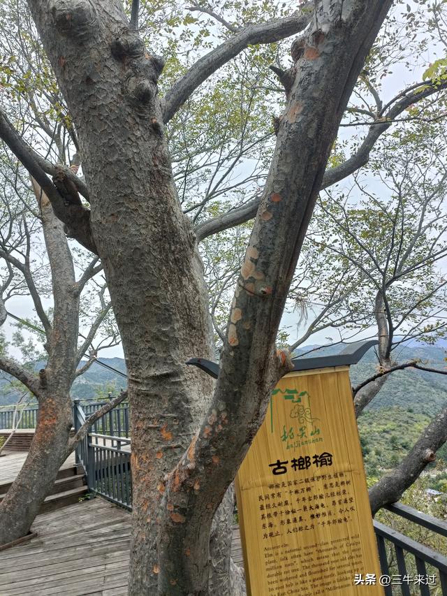 无为在歧路，壶关林州大名府9