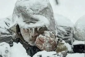 长津湖一战后朝鲜气氛紧张，陈赓入朝药到病除，彭老总：真有一套图片