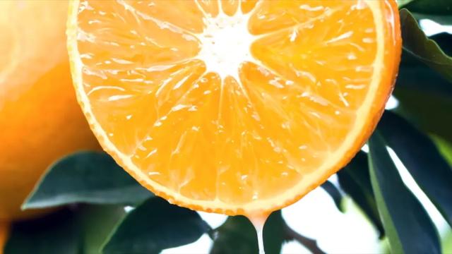 长江边上最魔幻的山城，重庆市区出发2小时直达，烤鱼火了六千年