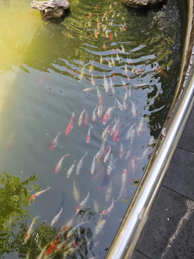 泑游丨梦醒雨湖