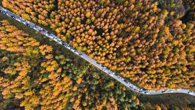 广元不远 周末优选 | 秋色短暂，曾家山赏秋路线来啦！