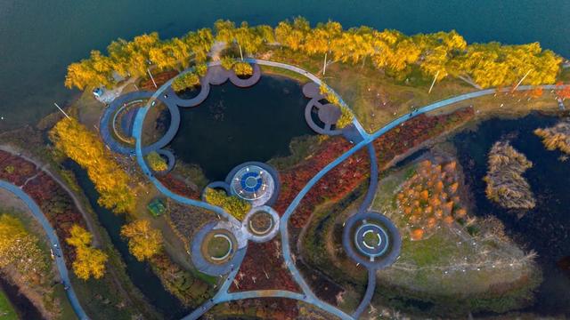 河南冬景上新，藏不住了！