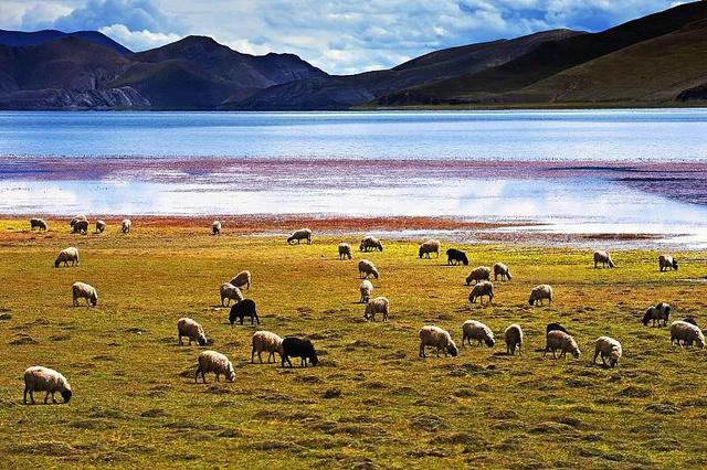 冬天游西藏才是真聪明！人少景美，关键还省钱。