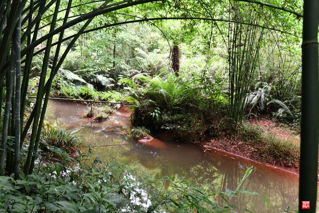 赤水四洞沟瀑布