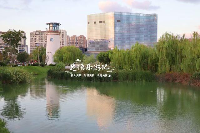 宁波镇海又发现一处粉黛园，临湖而居景色更秀丽，周边美景更多