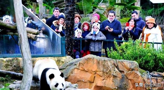 马克龙北京第二天！夫人米白套装出席仪式，兵哥哥气势磅礴	，爱了