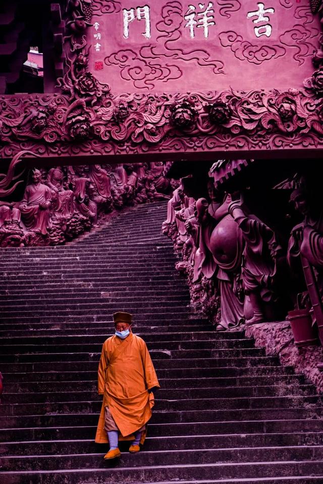 周末就冲！成都出发40min直达浪漫小城，喂海鸥逛古寺！