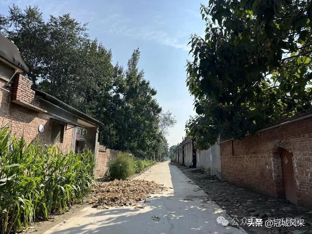 冠县乡韵·兰沃乡大柳邵村