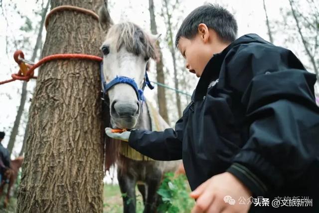 收藏秋日宝藏学玩地图!趣游新洲,为知识充“秋”电