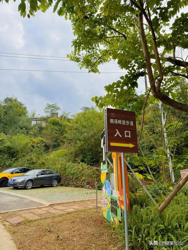 免费推荐！成都0.5h秋日免费打野攻略！摘柿子/板栗/八月瓜/野梨