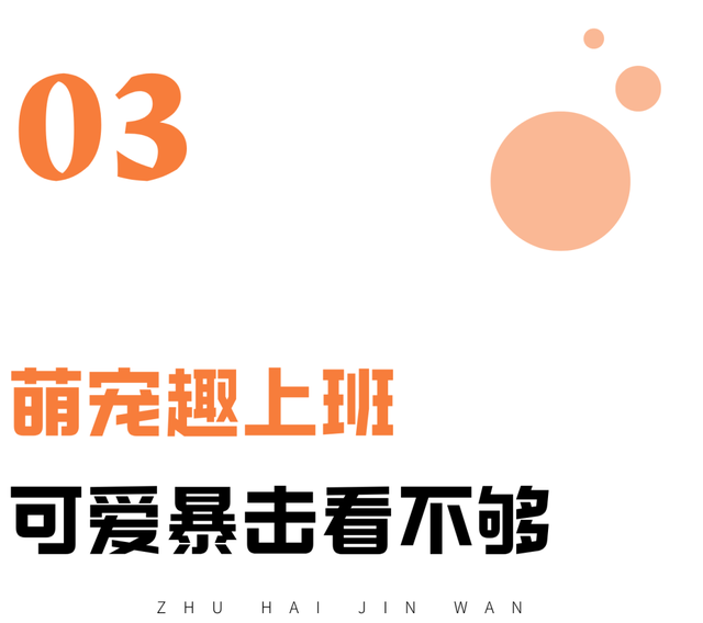 最后一晚！金湾海边烟花秀！