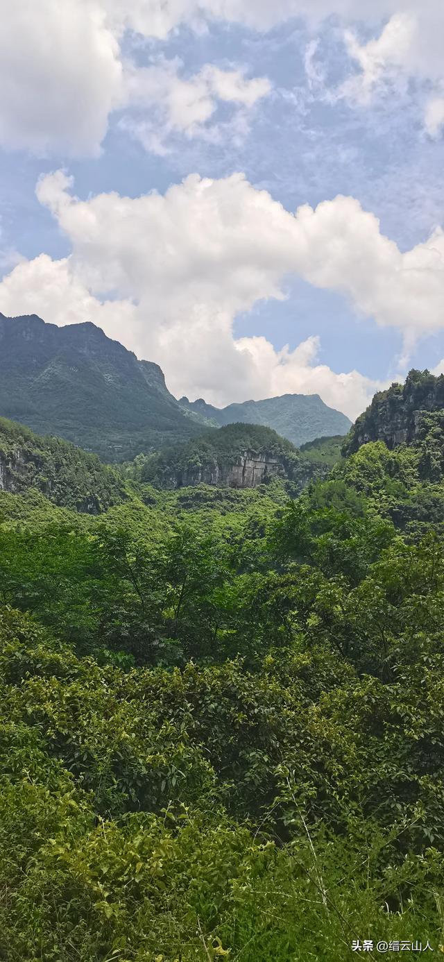 南川野游●山王坪（非景区）