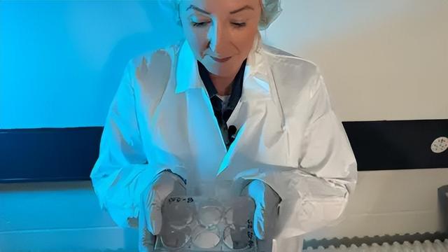 人类皮肤变算力核心？瑞士培育出"湿件"计算机，能解AI能耗危机？