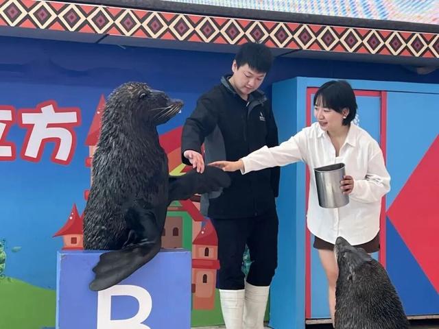 双流⇋金堂，国庆见！