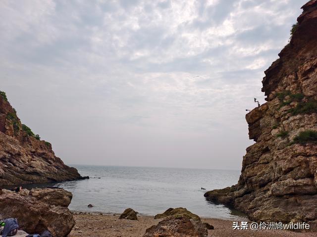 大连海之韵公园·棒槌岛