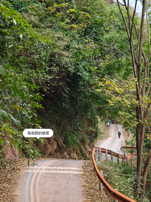 新发现的小众徒步路线！成都周边1.5h茶马古道，免费景美野趣十足