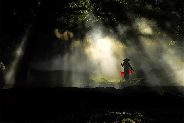 这是油画还是实景？太美太美啦！！