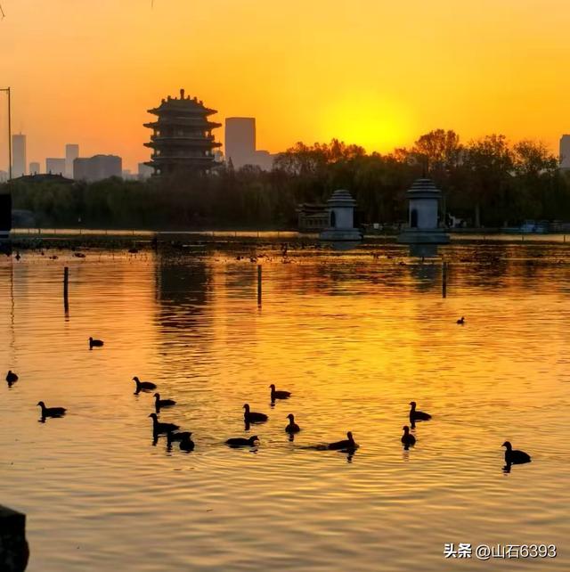 新华社原军事记者陶俊峰泉城美拍：《初冬大明湖晨曦美景》