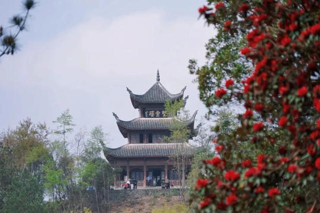 乡游黔中 · 长顺县 付家院村丨金菊翻浪映秋色,品味沉淀的时光