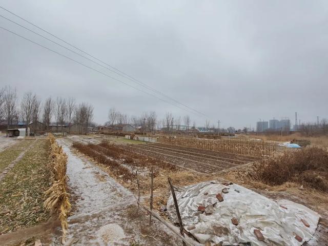 雪中探访德州城南村庄——三七村,一个跟中草药没有关系的村庄