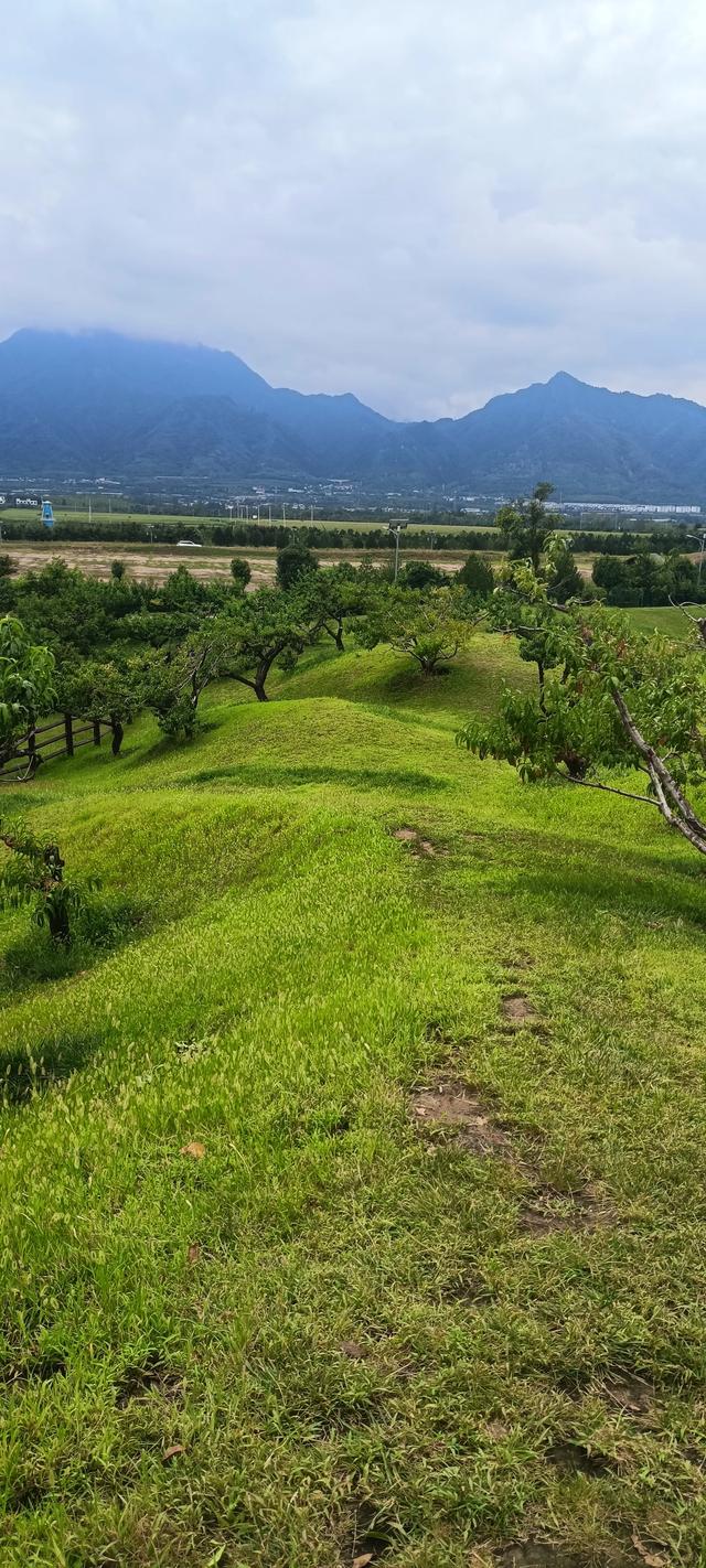 唐村的迷人草原