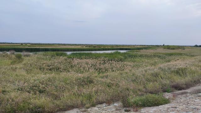 包头城南靠近黄河的昭君湖，也叫小白河景区，黄河浩渺，湖平如镜