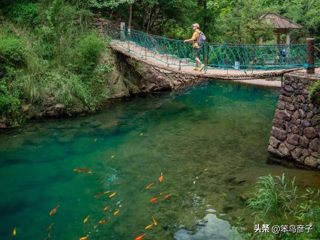 这5个浙江小众避暑圣地，不仅凉快得像天然冰箱，而且人少景美