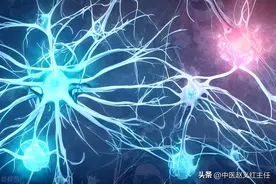 植物神经紊乱，是人体自救的信号，抓住了就好办图片